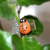 Insects Shape Garden Plants Flower Clips