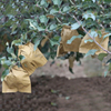 Garden Fruit Protection Paper Bag 