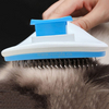 Currency Pet Comb