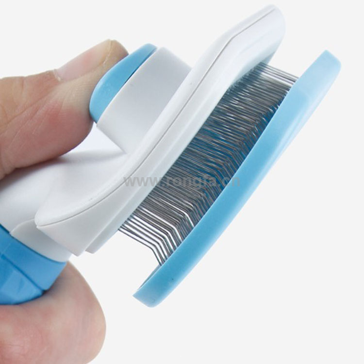 Currency Pet Comb