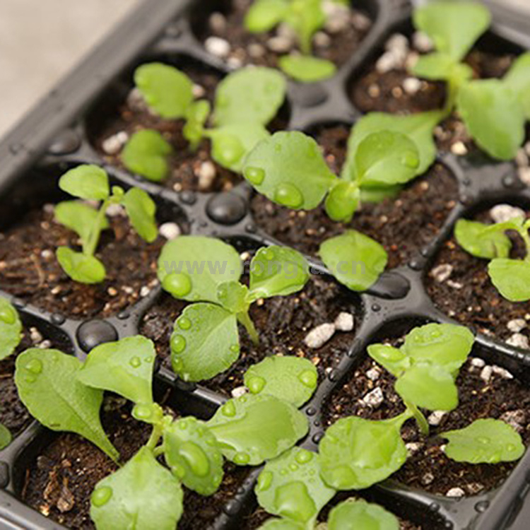 Garden Plant Nurserys Tray With Holes